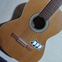 گیتار پارسی مدل m5