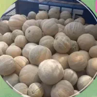 طالبی ساوه