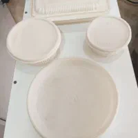 ظرف یکبار مصرف گیاهی