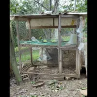 جا مرغی چوبی و فلزی