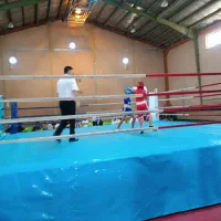 آموزش بوکس