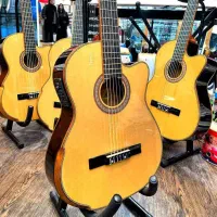 گیتارهای برند با رنگبندی متنوع گالری موسیقی آرتیا