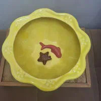 حوض ماهی سفالی