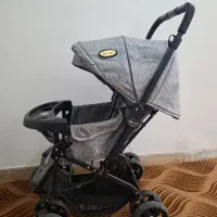 کالسکه دلیجان، مدل چیچک
