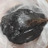 مومنایی اصل تضمینی