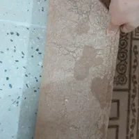 موکت