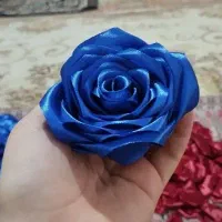گل ربانی شکوفه گل پروانه