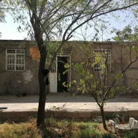 باغ سرسبز و دلباز و ماشین اوپل کورسا آلمانی