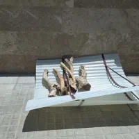 دو عدد سایبان کولر
