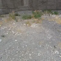 کارت استخر صدف