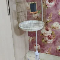 قفس پرنده