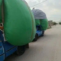 کاه گندم درجه یک بشرط