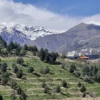 ویودار-جنوبی-بدون-مشرف-شهرک-شهپریان-شهپریان