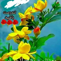 کارت سوخت موتور سیکلت گمشده