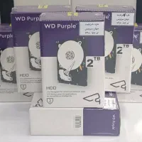 هارد بنفش اصلی و اورجینال