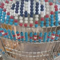 جوجه سهره خاکی نر ریز خون