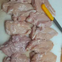 عاملیت پخش ران و شنیسل فیله در استان قزوین