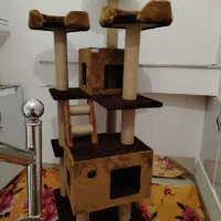 اسکرچر گربه