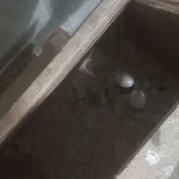 عروس هلندی روی تخم