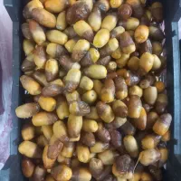 رطب تازه