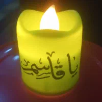 فروش انواع دکوری محرمی
