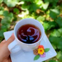 قندو نبات
