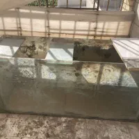 آکواریوم