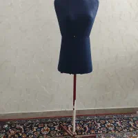 مانکن سوزن خور اتوخور