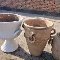 گلدان|گل و گیاه طبیعی|تهران, نعمت‌آباد|دیوار