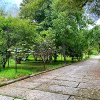 زمین550متری-شهرکی-جواز-ساخت-سند-بندپی