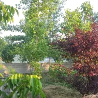 فروش-یک-قطعه-زمین