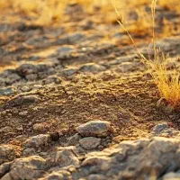 فروش-زمین-منظریه