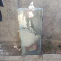 آکواریوم
