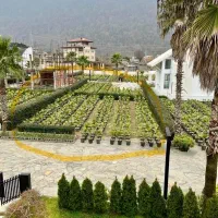 زمین-شهرکی376متر-زیرقیمت-شهرک-سندتکبرگ-قیمت-کل