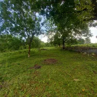 فروش زمین در دودانگه