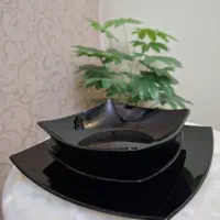 سرویس ۱۸ پارچه ی لومینارک شب و روز (سفید و مشکی)