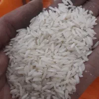 برنج هاشمی وعلی کاظمی درجه یک