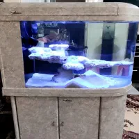 آکواریوم آب شور 3D خارجی