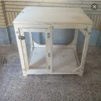 جوجه|حیوانات مزرعه|خمام, |دیوار