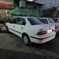 سمند سفید