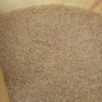 برنج|حراج|بندر انزلی, نوغان|دیوار
