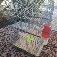 قفس تکمیلی عروس هلندی