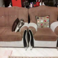 مبل ۷ نفره همراه با میز جلو