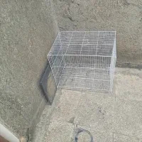 قفس خرگوش و فناری  و