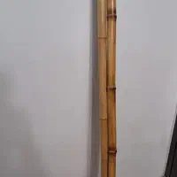 نی بامبو