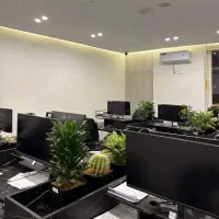 نیروی خدمات
