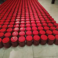 رب گوجه ارگانیک