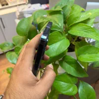 IPhone 12 pro max za/a 256gb 78% graphite|موبایل|گرگان, |دیوار