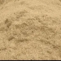 کاه گندم