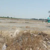 فروشی زمین کشاورزی دوهکتارهشتبندی هامین